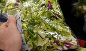 UK Faces Major Recycling Bottleneck as Flexible Plastics Collection Outpaces Processing Infrastructure, New Valpak Study Reveals